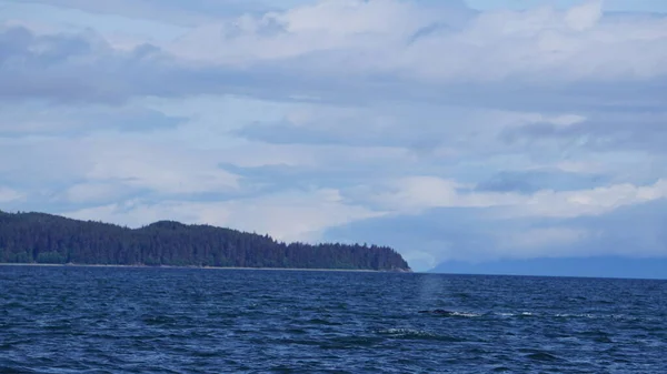 Táj Egy Alaszkai Fjord Közben Bálna Néz Szafari — Stock Fotó