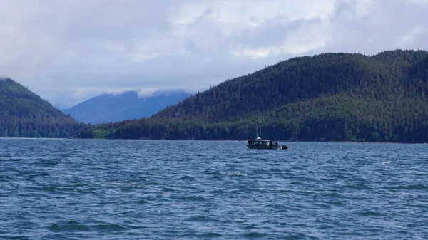 Juneau Alasca Maio 2019 Excursão Observação Baleias Fiorde Perto Juneau — Fotografia de Stock