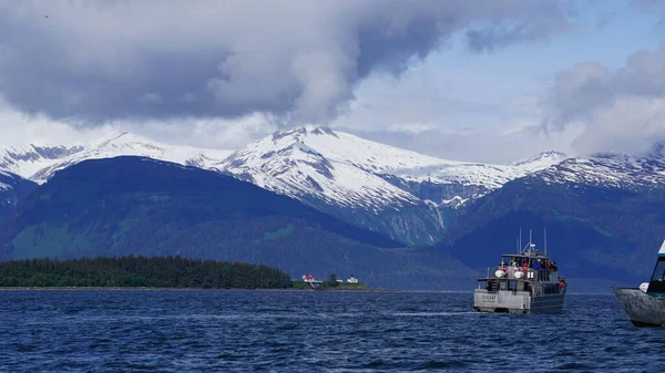 Juneau Alaska Mayo 2019 Excursión Observación Ballenas Fiordo Cerca Juneau — Foto de Stock