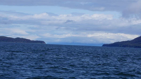 Táj Egy Alaszkai Fjord Közben Bálna Néz Szafari — Stock Fotó