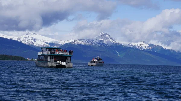 Juneau Alaska Mayo 2019 Excursión Observación Ballenas Fiordo Cerca Juneau — Foto de Stock
