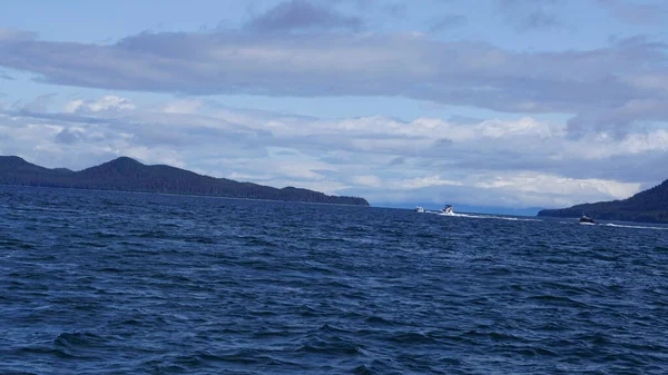 Juneau Alaska Mayo 2019 Excursión Observación Ballenas Fiordo Cerca Juneau —  Fotos de Stock