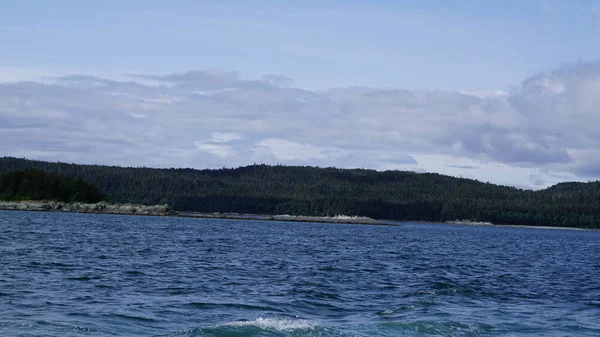 Bir balina safariyi izlerken Alaska fiyordunda manzara