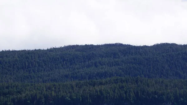 Landschaft Einem Fjord Alaska Während Einer Walbeobachtungssafari — Stockfoto