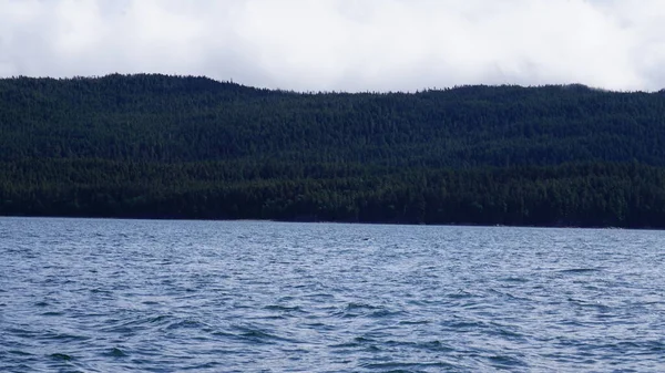 Landschap Een Alaska Fjord Tijdens Een Walvis Kijken Safari — Stockfoto