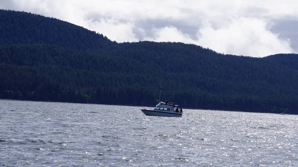 Juneau Alaska May 2019 Εκδρομή Παρακολούθησης Φαλαινών Φιόρδ Κοντά Στο — Φωτογραφία Αρχείου