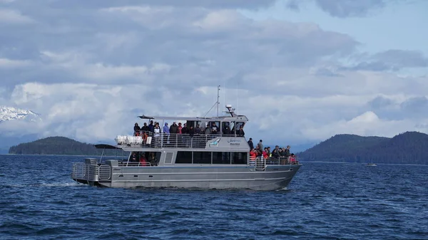 Juneau Alaska May 2019 Εκδρομή Παρακολούθησης Φαλαινών Φιόρδ Κοντά Στο — Φωτογραφία Αρχείου