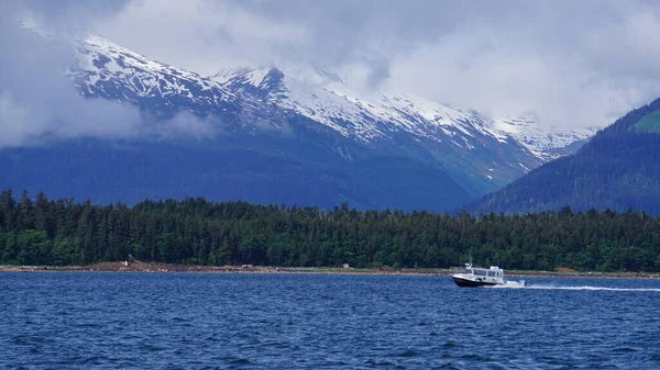 Juneau Alaska Maggio 2019 Escursione Osservazione Delle Balene Fiordo Vicino — Foto Stock
