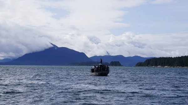 Juneau Alaska Maja 2019 Wycieczka Obserwacyjna Wielorybów Fiordzie Niedaleko Juneau — Zdjęcie stockowe