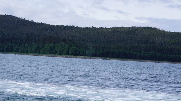 阿拉斯加峡湾中的风景在鲸鱼观看狩猎时 — 图库照片