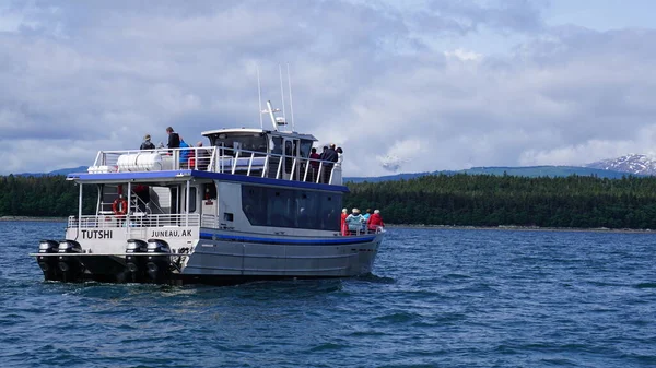 Juneau, Alaska, 27 Mayıs 2019: Alaska, Juneau yakınlarındaki bir fiyortta balina izleme gezisi