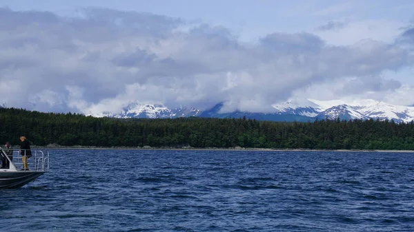 Juneau Alaska Mayıs 2019 Alaska Juneau Yakınlarındaki Bir Fiyortta Balina — Stok fotoğraf