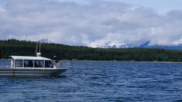 Juneau Alaska Mayo 2019 Excursión Observación Ballenas Fiordo Cerca Juneau — Foto de Stock