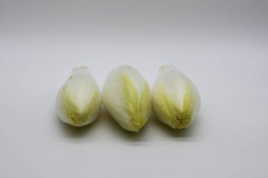 beyaz arkaplanda hindibaları izole