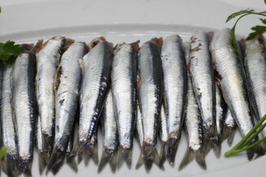 Taze yeşil maydanozla süslenmiş temiz ançüezler.