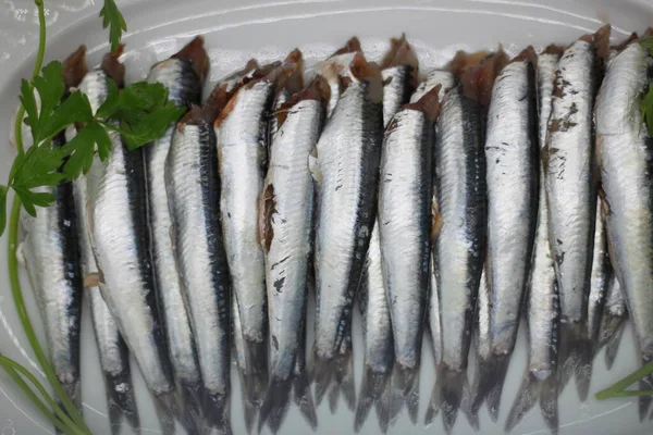 Anchovas Limpas Frescas Decoradas Com Salsa Verde Fresca — Fotografia de Stock