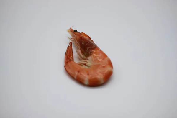 Langostino Cocido Aislado Sobre Fondo Blanco — Foto de Stock