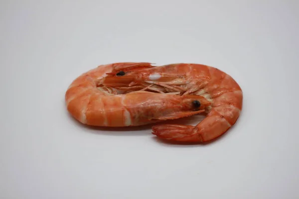 Crevettes Cuites Isolées Sur Fond Blanc — Photo