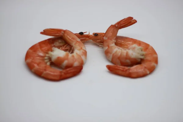 Cooked Prawns Isolated White Background — Stock Photo, Image