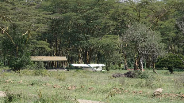 Aeromobili Leggeri Sul Lago Nakuru Kenya — Foto Stock