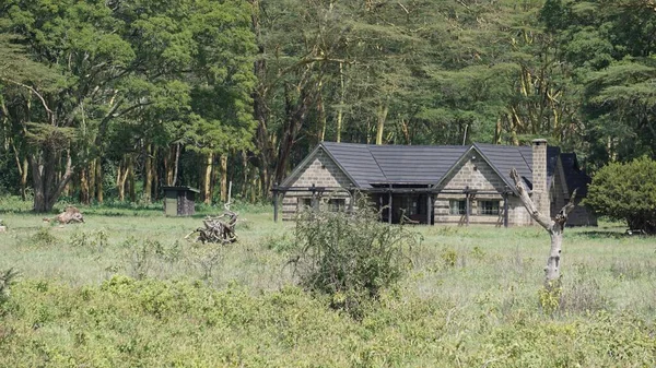 Casa Madeira Para Ficar Rangers Lago Nakuru Quênia — Fotografia de Stock