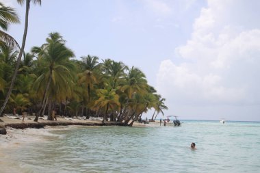 Dominik Cumhuriyeti 'ndeki Saona Adası plajlarının manzarası.
