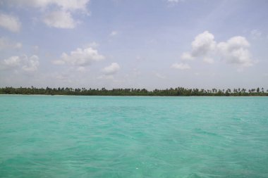 Dominik Cumhuriyeti 'ndeki Saona Adası plajlarının manzarası.