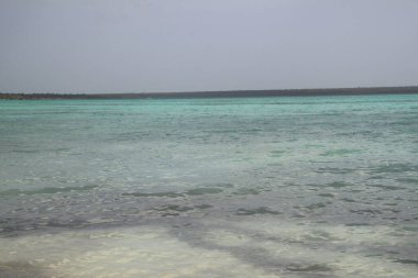 Dominik Cumhuriyeti 'ndeki Saona Adası plajlarının manzarası.