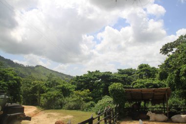 Dominik çiftliğinin manzarası