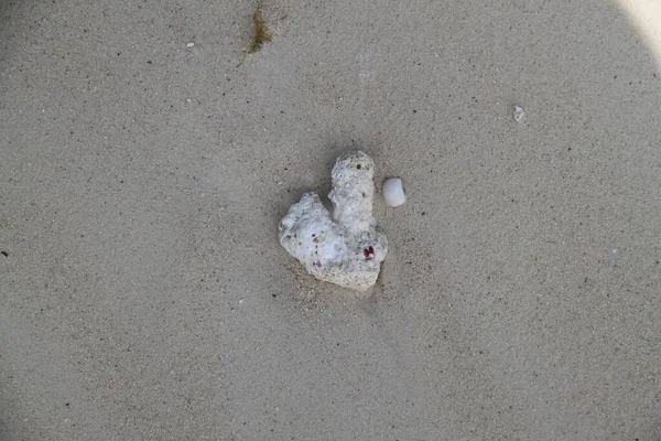 Coral Rock White Sand Beach — Stock Photo, Image