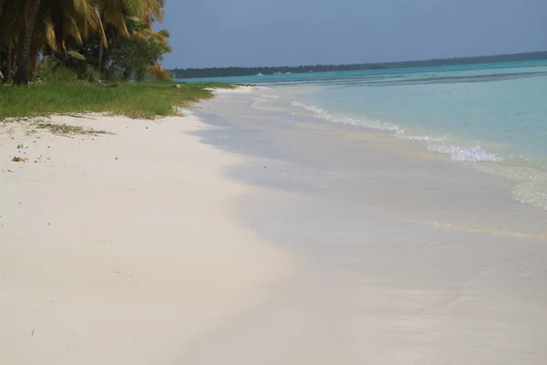 Paisaje Las Playas Isla Saona República Dominicana —  Fotos de Stock