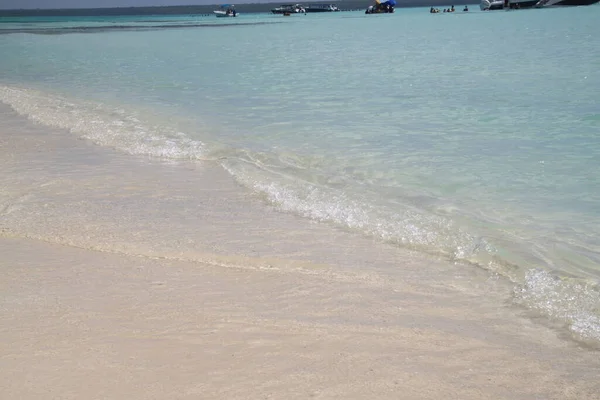 Paisaje Las Playas Isla Saona República Dominicana —  Fotos de Stock