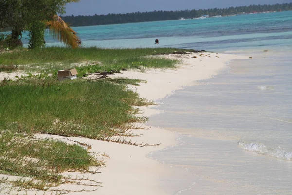 Landschaft Der Strände Von Isla Saona Der Dominikanischen Republik — Stockfoto