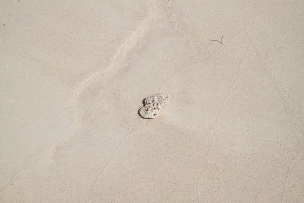 Korálová Skála Bílém Písku Pláže — Stock fotografie