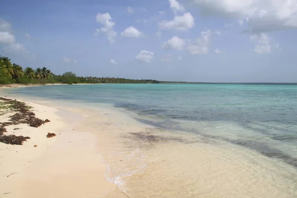Τοπίο Των Παραλιών Της Isla Saona Στη Δομινικανή Δημοκρατία — Φωτογραφία Αρχείου