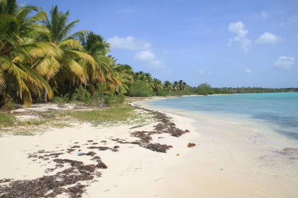 Τοπίο Των Παραλιών Της Isla Saona Στη Δομινικανή Δημοκρατία — Φωτογραφία Αρχείου