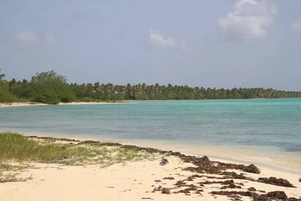 Paisagem Das Praias Isla Saona República Dominicana — Fotografia de Stock