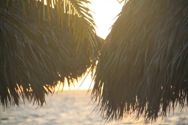 Soluppgång Vid Stranden Punta Cana Karibiska — Stockfoto