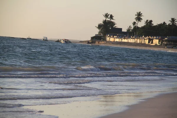 Krajobraz Plaży Punta Cana Republice Dominikańskiej — Zdjęcie stockowe