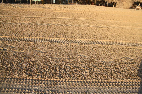 Tractor Tracks Beach Sand — Stock Photo, Image