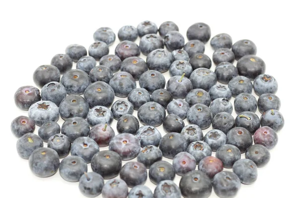 Blueberries Isolated White Background — Stock Photo, Image