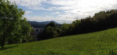Donostia San Sebastian 'da çimenli ve ağaçlı yeşil bahçeler