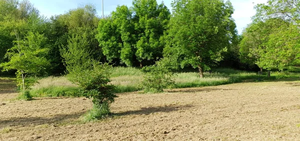 area with picnic tables in the Miramon park in Donostia San Sebastian