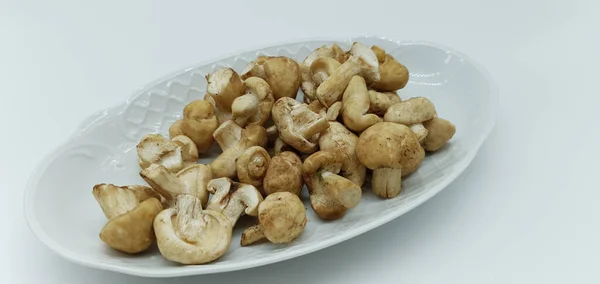 用白色底色隔离的盘子中的野蘑菇 — 图库照片