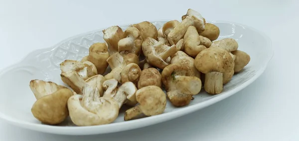 用白色底色隔离的盘子中的野蘑菇 — 图库照片