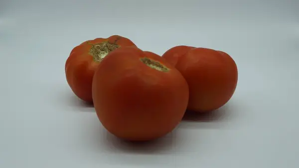 Rode Tomaten Witte Achtergrond — Stockfoto
