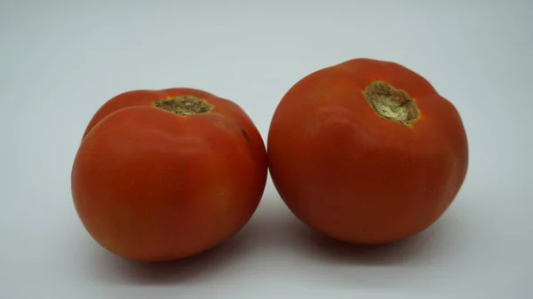 Tomates Vermelhos Sobre Fundo Branco — Fotografia de Stock