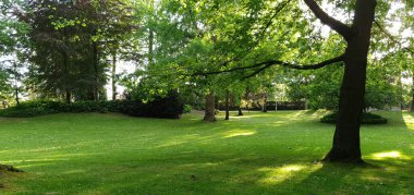 Bask bölgesindeki Donostia San Sebastian bahçelerinde iyi korunmuş yeşil çimenler.