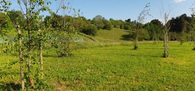 a beautiful scenery of a green meadow with a blue sky in the background