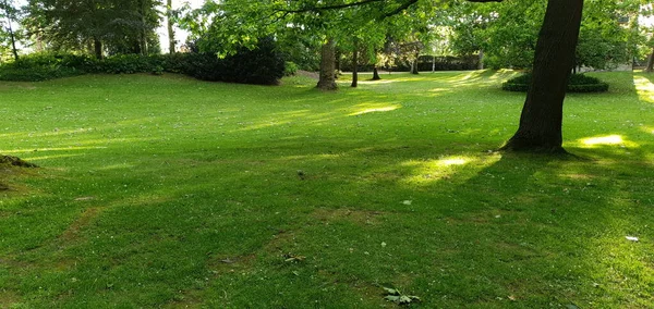 Grama Verde Bem Conservada Nos Jardins Donostia San Sebastian País — Fotografia de Stock